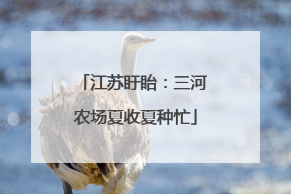 江苏盱眙：三河农场夏收夏种忙