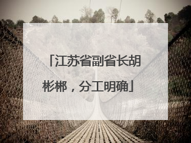 江苏省副省长胡彬郴，分工明确