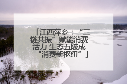 江西萍乡：“三链共振”赋能消费活力 生态五陂成“消费新枢纽”