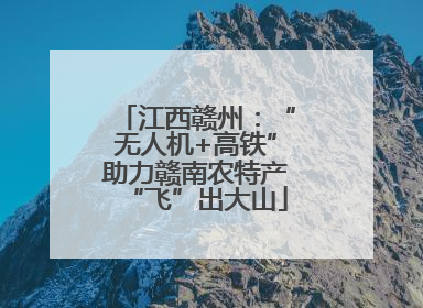 江西赣州：“无人机+高铁”助力赣南农特产“飞”出大山
