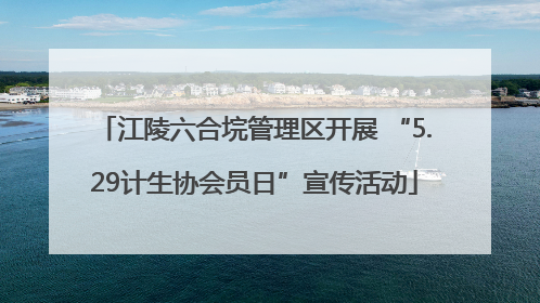 江陵六合垸管理区开展 “5.29计生协会员日”宣传活动