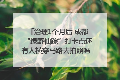治理1个月后 成都“绿野仙踪”打卡点还有人横穿马路去拍照吗？｜民情瞭望