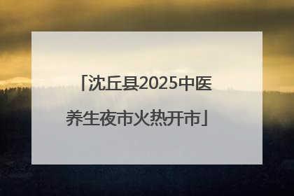 沈丘县2025中医养生夜市火热开市