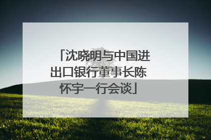 沈晓明与中国进出口银行董事长陈怀宇一行会谈
