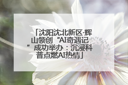 沈阳沈北新区·辉山领创“AI奇遇记”成功举办：沉浸科普点燃AI热情