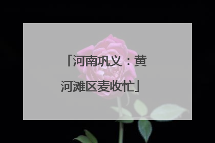 河南巩义：黄河滩区麦收忙
