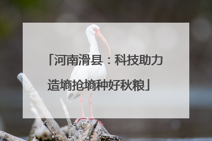 河南滑县：科技助力造墒抢墒种好秋粮