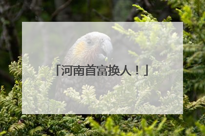 河南首富换人！