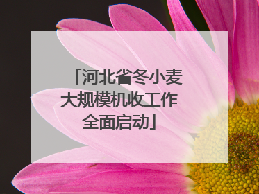 河北省冬小麦大规模机收工作全面启动