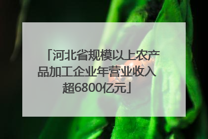 河北省规模以上农产品加工企业年营业收入超6800亿元