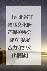 河北省非物质文化遗产保护协会成立 凝聚合力守护文化根脉