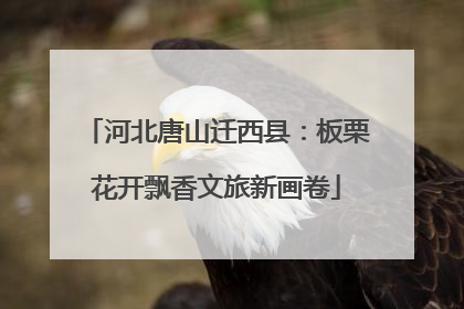 河北唐山迁西县：板栗花开飘香文旅新画卷