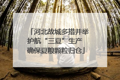 河北故城多措并举护航“三夏”生产 确保夏粮颗粒归仓