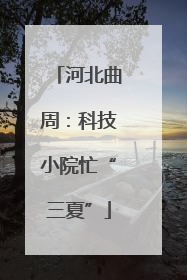 河北曲周：科技小院忙“三夏”