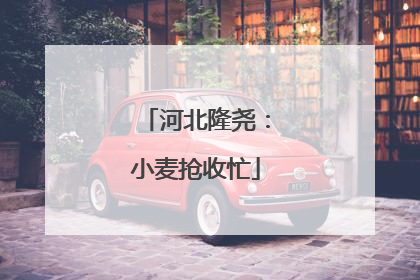 河北隆尧：小麦抢收忙