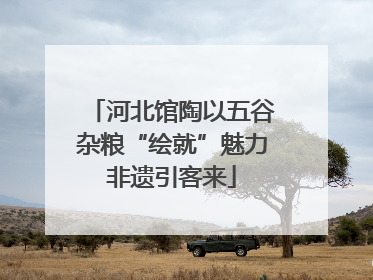 河北馆陶以五谷杂粮“绘就”魅力非遗引客来