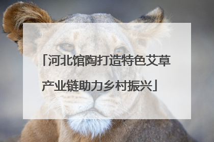 河北馆陶打造特色艾草产业链助力乡村振兴