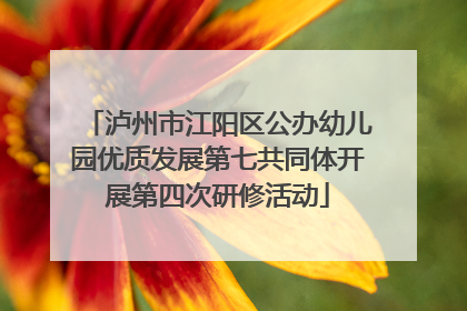泸州市江阳区公办幼儿园优质发展第七共同体开展第四次研修活动