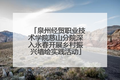 泉州经贸职业技术学院慈山分院深入永春开展乡村振兴墙绘实践活动