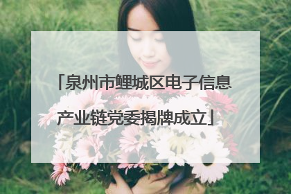 泉州市鲤城区电子信息产业链党委揭牌成立