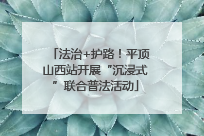 法治+护路！平顶山西站开展“沉浸式”联合普法活动