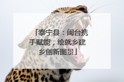 泰宁县：闽台携手赋能，绘就乡建乡创新图景