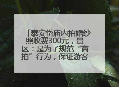 泰安岱庙内拍婚纱照收费300元，景区：是为了规范“商拍”行为，保证游客体验，收取费用全部上交国库