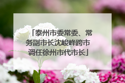 泰州市委常委、常务副市长沈峻峰跨市调任徐州市代市长