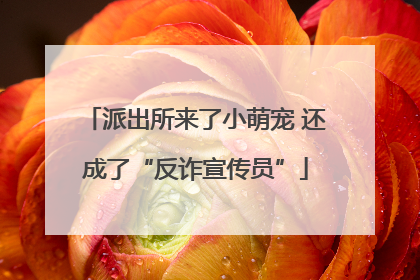 派出所来了小萌宠 还成了“反诈宣传员”