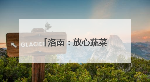 洛南：放心蔬菜点“绿”成金