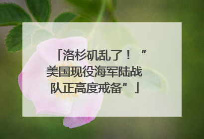 洛杉矶乱了！“美国现役海军陆战队正高度戒备”
