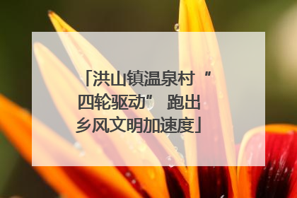 洪山镇温泉村“四轮驱动” 跑出乡风文明加速度