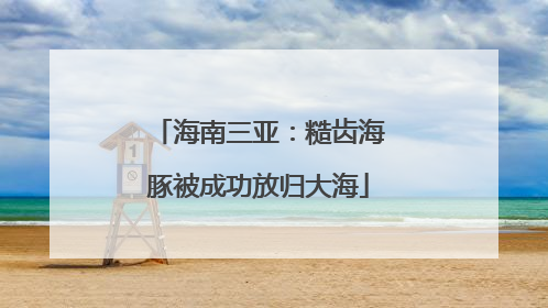 海南三亚：糙齿海豚被成功放归大海
