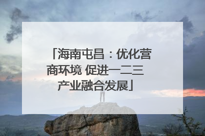 海南屯昌：优化营商环境 促进一二三产业融合发展