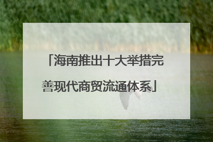 海南推出十大举措完善现代商贸流通体系