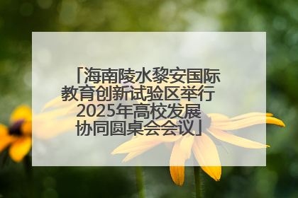 海南陵水黎安国际教育创新试验区举行2025年高校发展协同圆桌会会议