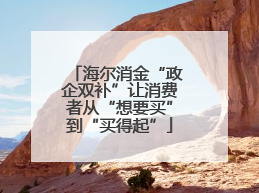 海尔消金“政企双补”让消费者从“想要买”到“买得起”