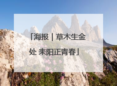 海报｜草木生金处 耒阳正青春