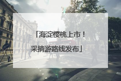 海淀樱桃上市！采摘游路线发布