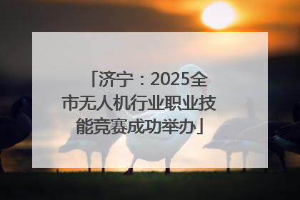 济宁：2025全市无人机行业职业技能竞赛成功举办