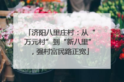济阳八里庄村：从“万元村”到“新八里”，强村富民路正宽
