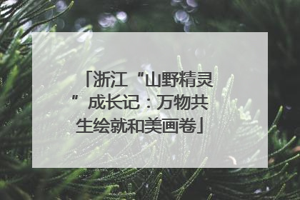 浙江“山野精灵”成长记：万物共生绘就和美画卷