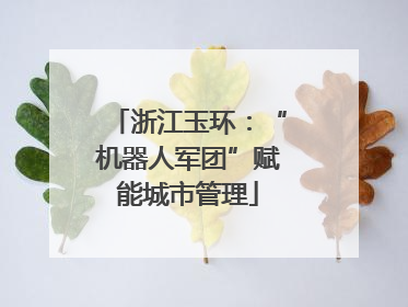 浙江玉环：“机器人军团”赋能城市管理