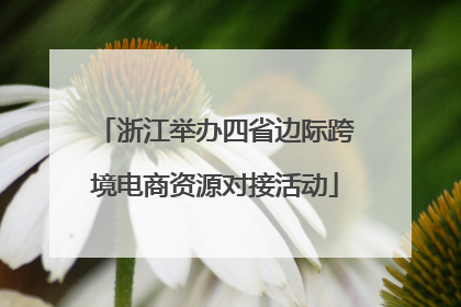 浙江举办四省边际跨境电商资源对接活动