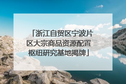 浙江自贸区宁波片区大宗商品资源配置枢纽研究基地揭牌