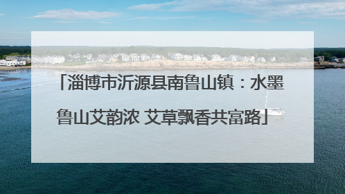 淄博市沂源县南鲁山镇：水墨鲁山艾韵浓 艾草飘香共富路