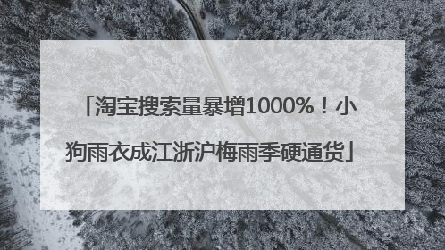 淘宝搜索量暴增1000%！小狗雨衣成江浙沪梅雨季硬通货
