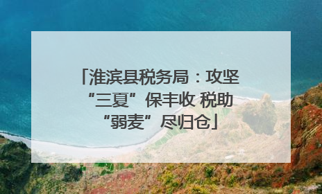 淮滨县税务局：攻坚“三夏”保丰收 税助“弱麦”尽归仓