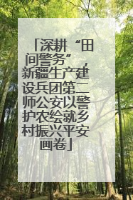 深耕“田间警务”，新疆生产建设兵团第二师公安以警护农绘就乡村振兴平安画卷