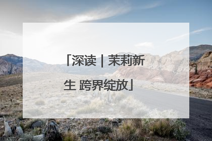 深读｜茉莉新生 跨界绽放